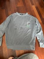 Grauer Pullover mit Schlangenmotiv Hamburg - Wandsbek Vorschau
