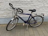 Hercules Herren Fahrrad 28 Zoll mit neuen Reifen & Schläuche Rheinland-Pfalz - Römerberg Vorschau