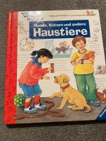 Kinderbücher wer weiß was, Licht an, Benjamin Blümchen Hessen - Wiesbaden Vorschau