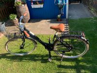 "Tecnobike Colore Cityrad 28 Wie Neu" Hannover - Bothfeld-Vahrenheide Vorschau