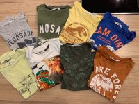 8 TShirts Set Dinosaurier, Größe 134/140 Hessen - Bad Nauheim Vorschau