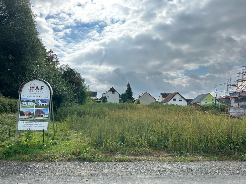 Baugebiet Sorsum:  Provisionsfrei, zentral, großzügig in Hildesheim