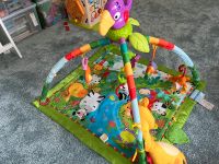 Fisher-Price Spieldecke mit Tucan Brandenburg - Dallgow Vorschau