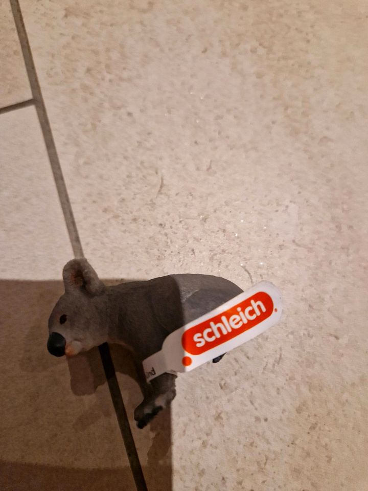 Schleich Koala neu in Kobern-Gondorf