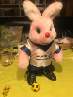 Duracell Fußball WM 98 elektrisch dribbelnd Frankreich35cm groß Sachsen - Döbeln Vorschau