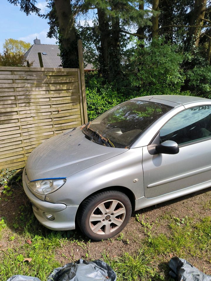 Peugeot 206 CC in Schuby