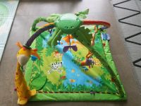 Fisher Price Rainforest Spieldecke Spielbogen Bayern - Aufhausen Vorschau