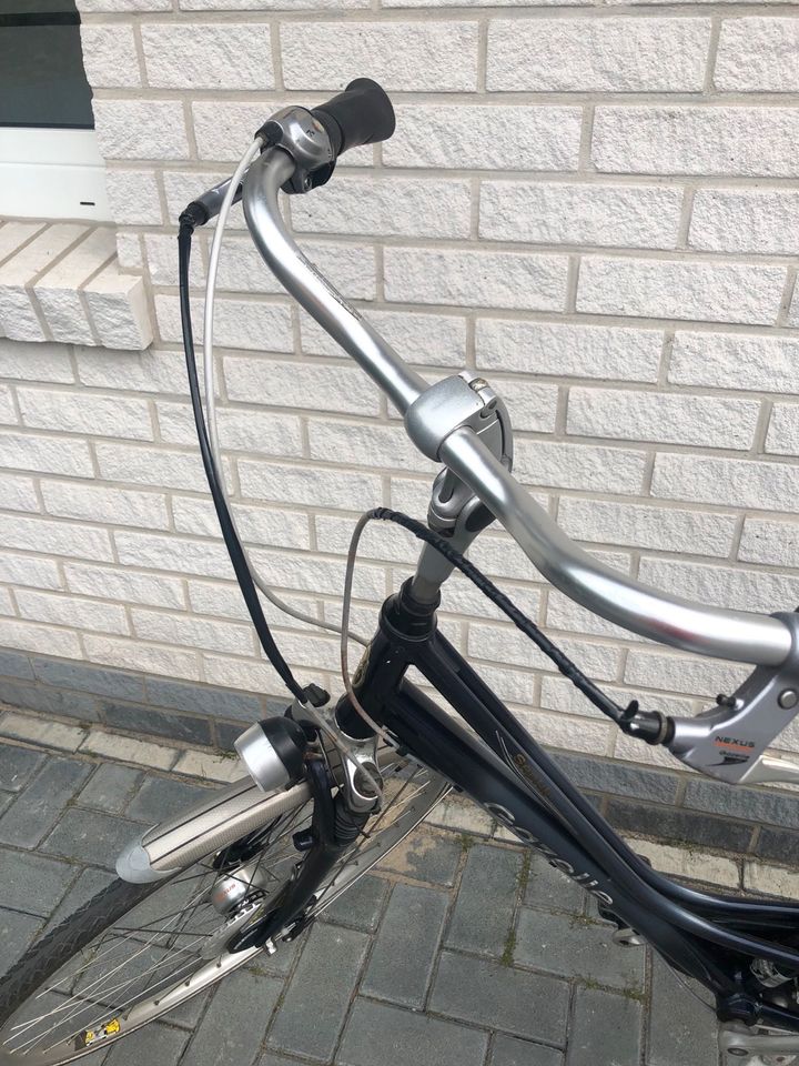 Gazelle Damen Fahrrad typ Sapir Blau Damen in Nordhorn