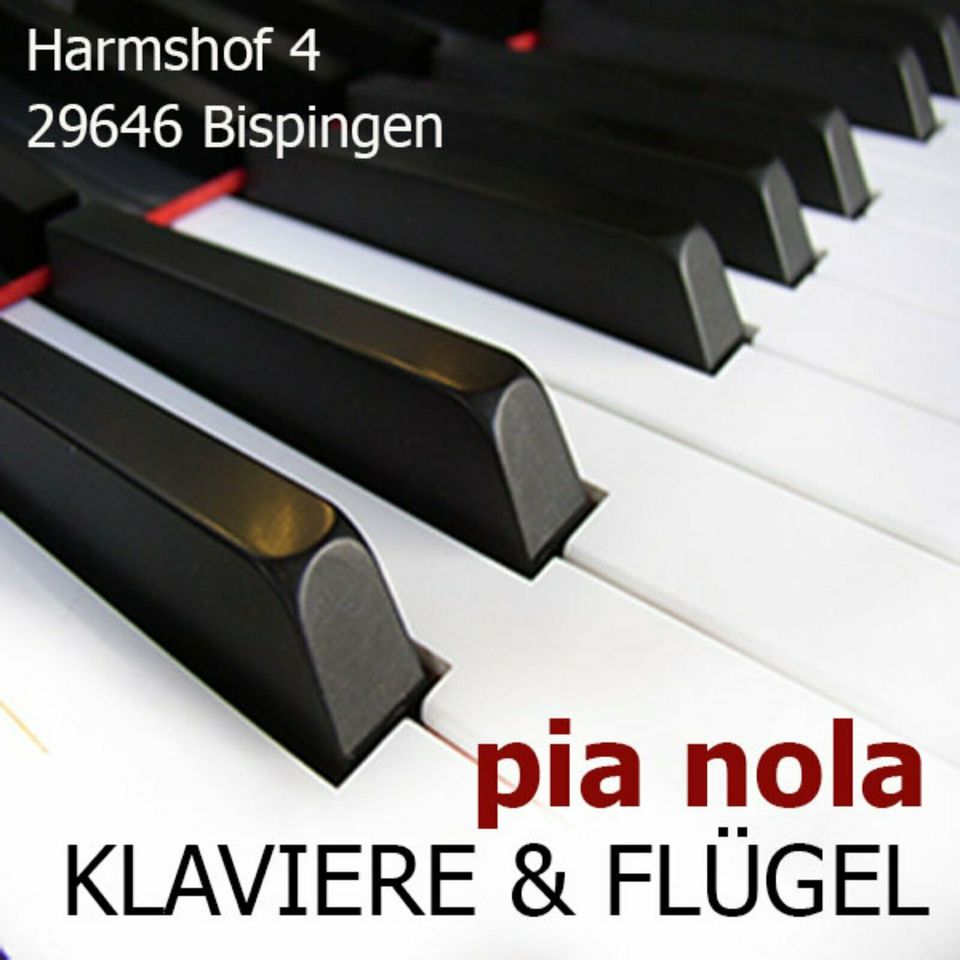 YAMAHA Flügel mieten mit Anrechnung bei Kauf ab 89 € / Monat in Bispingen