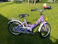 Puky Kinderrad 16 Zoll Nürnberg (Mittelfr) - Nordstadt Vorschau