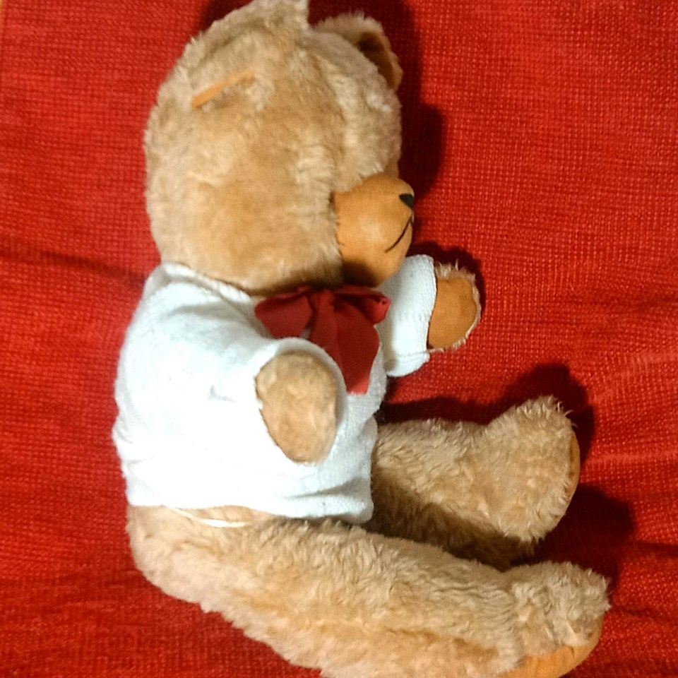 Großer, alter Kirmesbär Teddybär 60er/70er Jahre in Bad Salzuflen