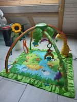 Spiel- und Erlebnisdecke von Fisher Price Baden-Württemberg - Flein Vorschau