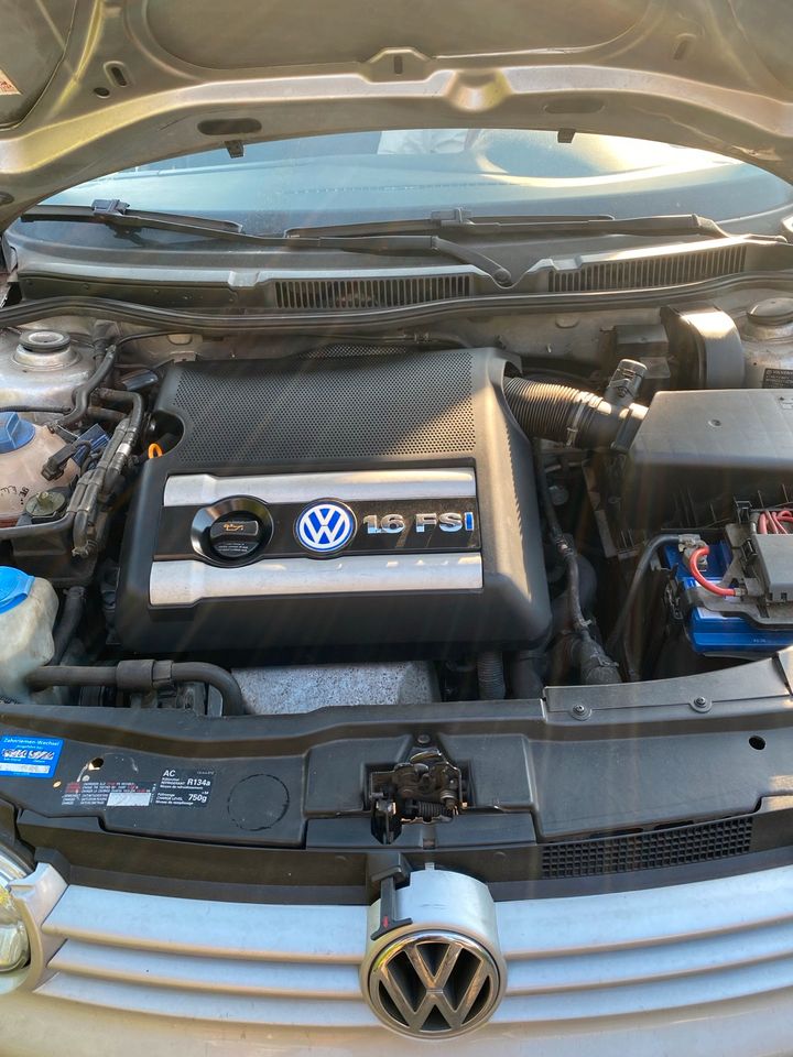 VW Golf IV 1.6 FSI Highline in Borken