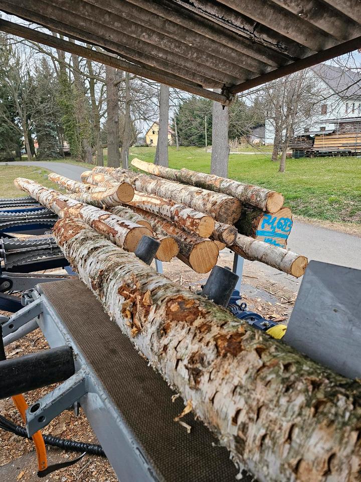 Kaminholz Brennholz Birke  frisch 25/30/33/40/45|50 Lieferung in Kodersdorf