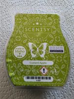 verschiedene Scentsy Bars (voll) Kr. Altötting - Kastl Vorschau