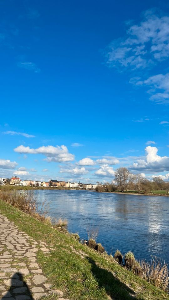 Zwischenmiete vom 20/5 bis 20/8 verfügbar in Dresden