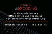 Leistungssteigerung Chiptuning Stage 1,2,3 DSG DPF AGR OPF Brandenburg - Beelitz Vorschau