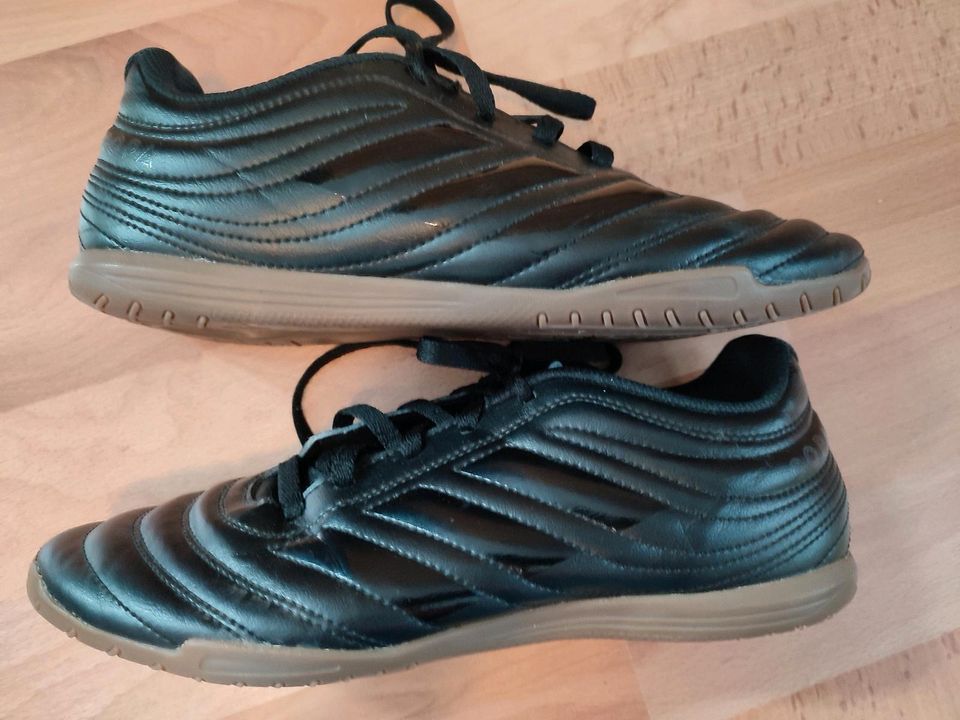 Adidas Copa Hallenschuhe Gr. 38 in Neuwied