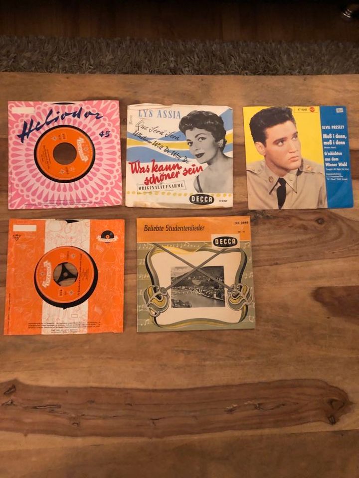 Schallplatten (Vinyl) Sammlung in Marquartstein