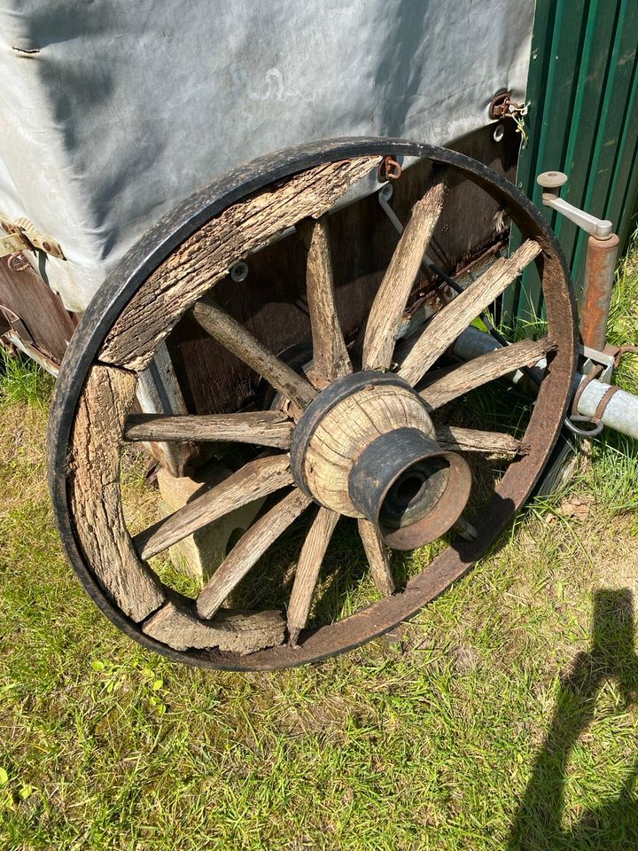 Wagenrad, Kutsche Rad, antike Deko in Haltern am See