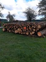 Brennholz zu verkaufen Bayern - Freihung Vorschau