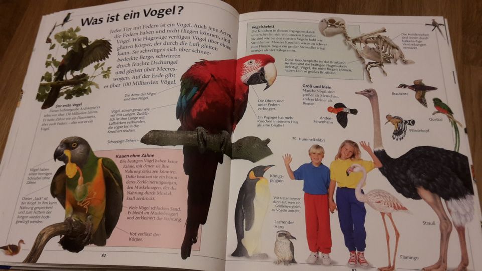 Tiere und Natur Faszination Wissen Ravensburger in Berlin