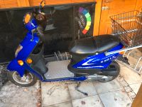 Moped Pegasus S 50 LX ASCS Bayern - Obertraubling Vorschau