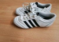 Adidas Fußballschuhe NEU Gr.36 Schuhe Köln - Ostheim Vorschau