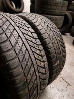 2x 205 55 R16 94V XL Goodyear Ganzjahresreifen Stuttgart - Bad Cannstatt Vorschau