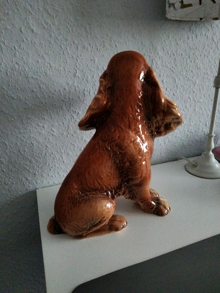 Goebel Porzellan Hund Cocker Spaniel in Krefeld