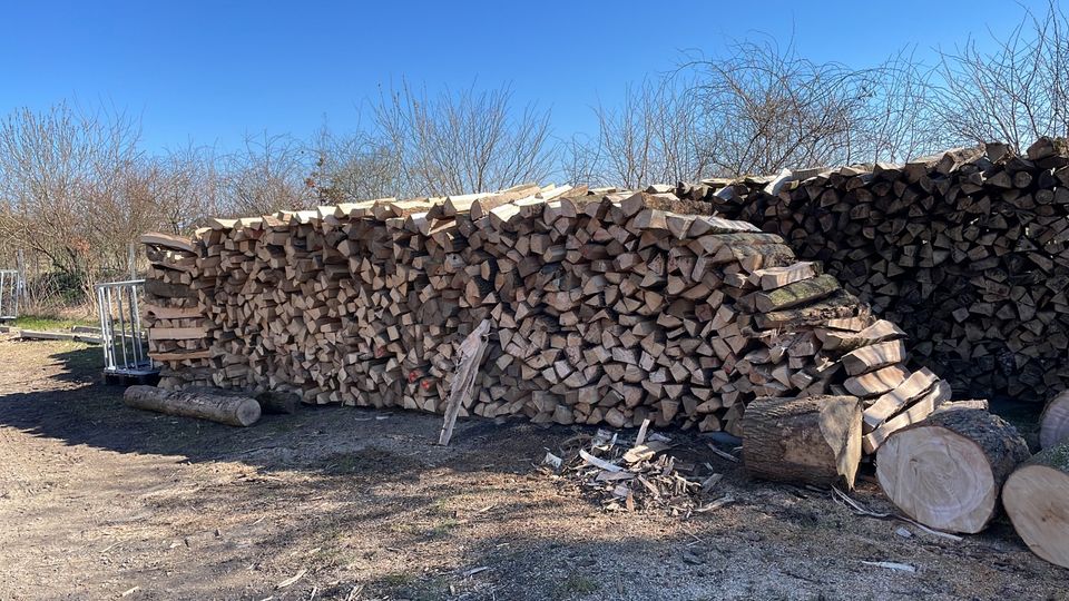 Brennholz Ofenholz Kaminholz Buche in Schellhorn (bei Preetz, Holst)