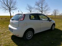 Fiat Punto Evo 1.4 Automatik, Navi, Start&Stop Niedersachsen - Varel Vorschau