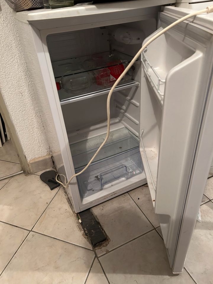 Kühlschrank in Steinheim an der Murr
