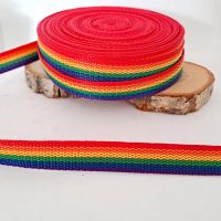 Gurtband 20 mm breit Regenbogen Band Hessen - Bad Wildungen Vorschau