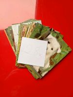 Postkarten mit Hundemotiv 28 Stück Niedersachsen - Dahlenburg Vorschau
