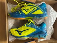 Mizuno Wave Stealth 3 Edition 42,5 Handball Schuhe ovp Profi Neu Sachsen-Anhalt - Bernburg (Saale) Vorschau