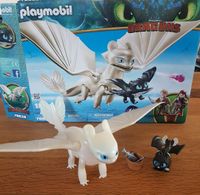 PLAYMOBIL Dragons 70038 Tagschatten und Kinder mit Babydrachen Sachsen - Oschatz Vorschau