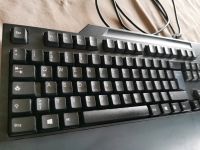 ❤️ Lenovo Tastatur USB Nummernblock Ergo Berlin - Pankow Vorschau