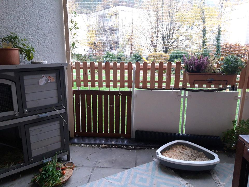 Kaninchen Meerschweinchen Tierbetreuung in Freiburg im Breisgau