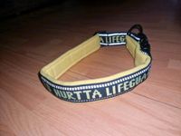 Hurrta Lifeguard Halsband 55-65cm Nordrhein-Westfalen - Remscheid Vorschau