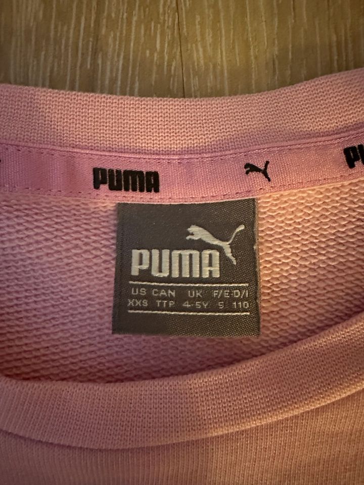 Neuwertig Puma Sport Sweatshirt rose Grösse 110 in Bendestorf