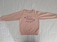 Neu mit Etikett Sweatshirt 116 Pullover von Name It rosa Hessen - Wiesbaden Vorschau