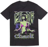 Suche Shirt zur Charli XCX Tour 2019 Niedersachsen - Buchholz in der Nordheide Vorschau