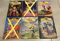 Disney Kinderbücher Rapunzel - TinkerBell - König der Löwen … Rheinland-Pfalz - Gundersheim Vorschau