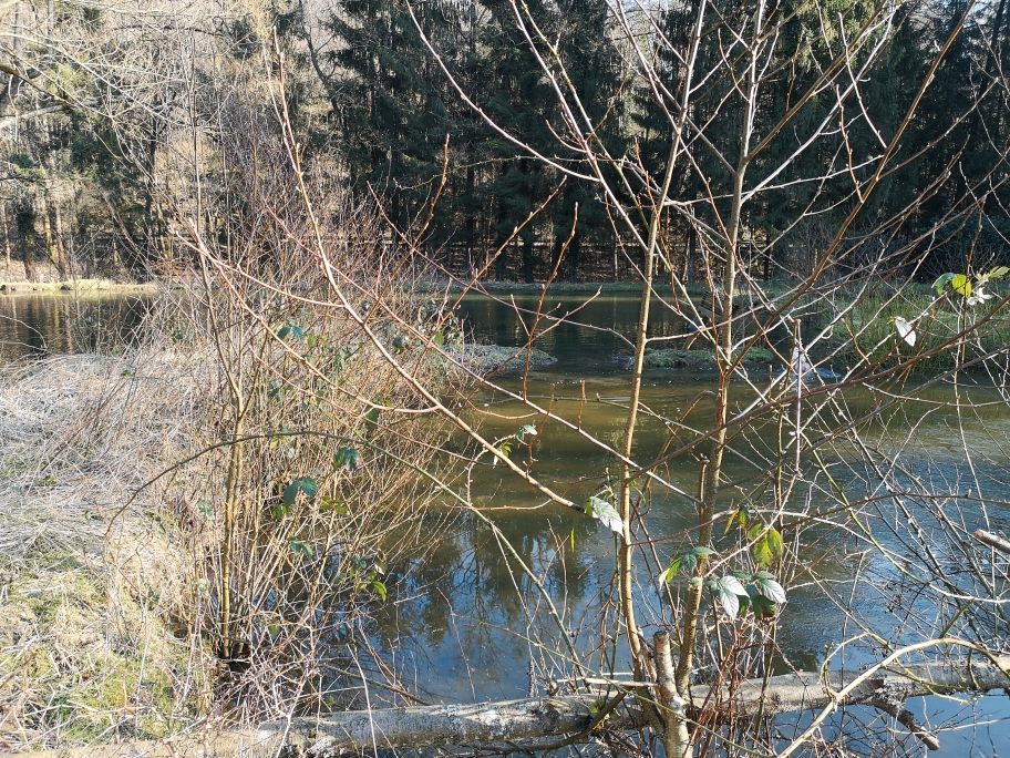 Fischzuchtanlage mit Genehmigung !!! in Lindlar