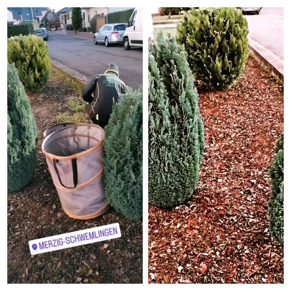 Gartenarbeit Hecken schneiden vertikutieren Rasenmähen Gärtner uv in Schmelz