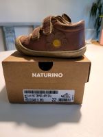 Sneaker Kinder Naturino große 22 Hamburg-Nord - Hamburg Winterhude Vorschau