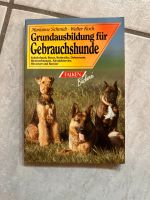 Grundausbildung für Gebrauchshunde Niedersachsen - Gnarrenburg Vorschau