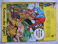 Hit Comics Die Spinne Nr. 241, 243, 253 bsv 1972/73 Nordrhein-Westfalen - Leverkusen Vorschau