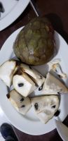 10 Samen Chirimoya Cherimoya Annona cherimola Obstbaum aus Peru Sachsen - Bannewitz Vorschau